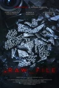 پرونده خام (Raw File)