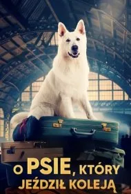 سگ قطارسوار 1 (The Dog Who Travelled by Train 1)