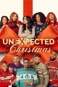 کریسمسِ غیرمنتظره (Unexpected Christmas)