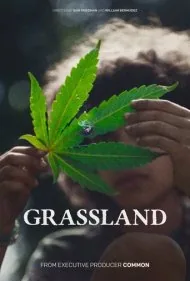 چمنزار (Grassland)