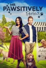 آقای فوق‌العاده پشمالو (Mr. Pawsitively Perfect)