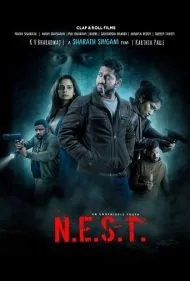 آشیانه (N.E.S.T.)