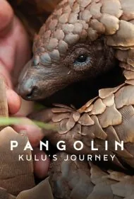 سفر پنگولینی به اسم کولو (Pangolin: Kulus Journey)