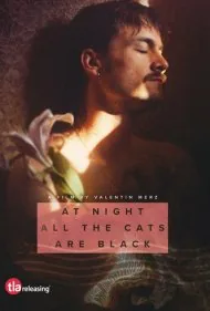 شب‌هنگام همه گربه‌ها سیاه‌اند (At Night All the Cats Are Black)