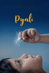 پیالی (Pyali)