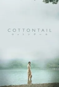 خرگوش پنبه‌ای (Cottontail)