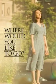 دوست داری کجا بری؟ (Where Would You Like to Go?)