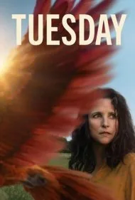 تیوزدی (Tuesday)