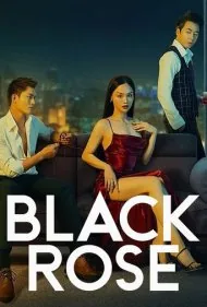 رز سیاه (Black Rose)