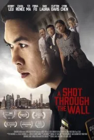 شلیکی از میانه دیوار (A Shot Through the Wall)