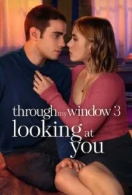 از طریق پنجره ام : به تو نگاه می کنم (Through My Window: Looking at You)